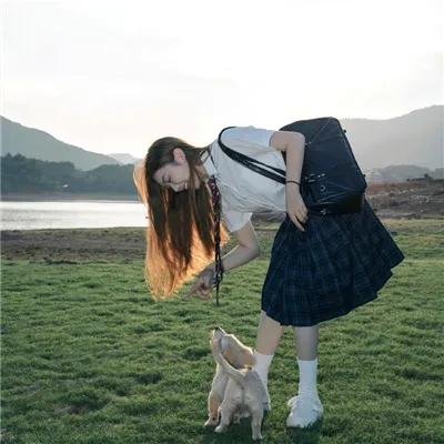 狐妖小红娘日语版