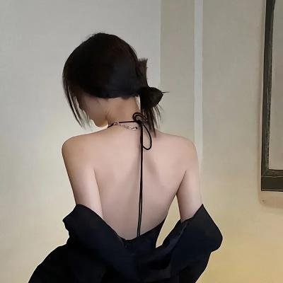 天兔座之夜